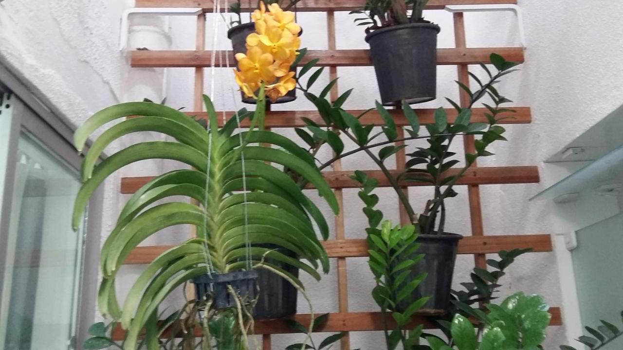Hostel Pajucara Maceió Esterno foto